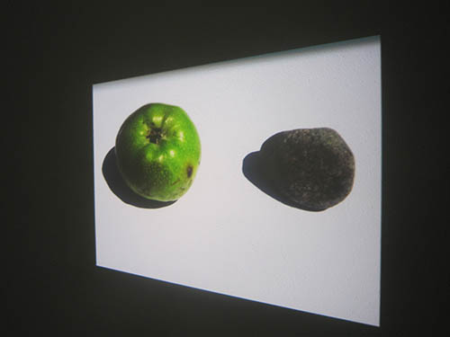 Le Sentier des Peintres, projection of an apple and a stone by Jay Rechsteiner
