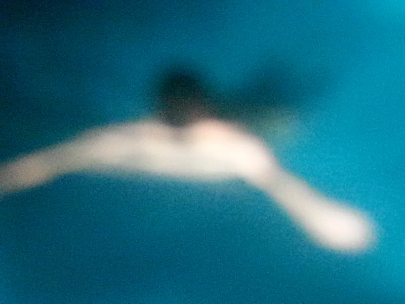 nude figure in pool swimming, photograph by Jay Rechsteiner